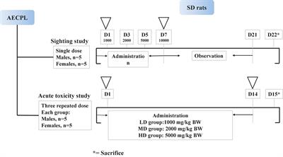 The chemical composition and toxic effects of aqueous extracts of Cyclocarya paliurus leaves